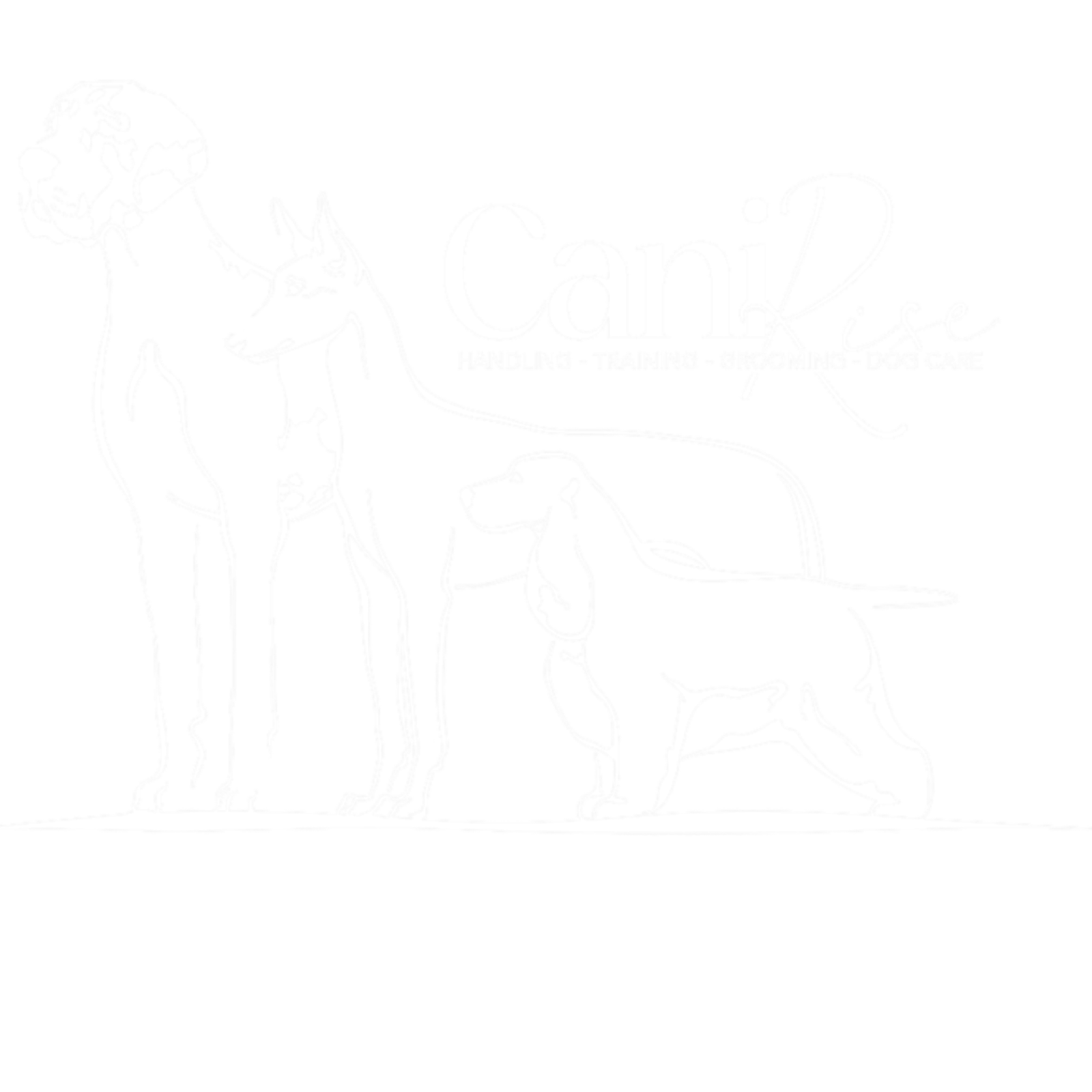 CaniRise