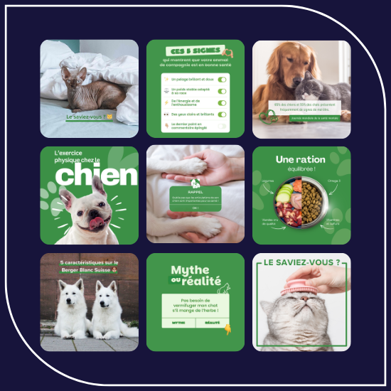 Portfolio Domaine animalier